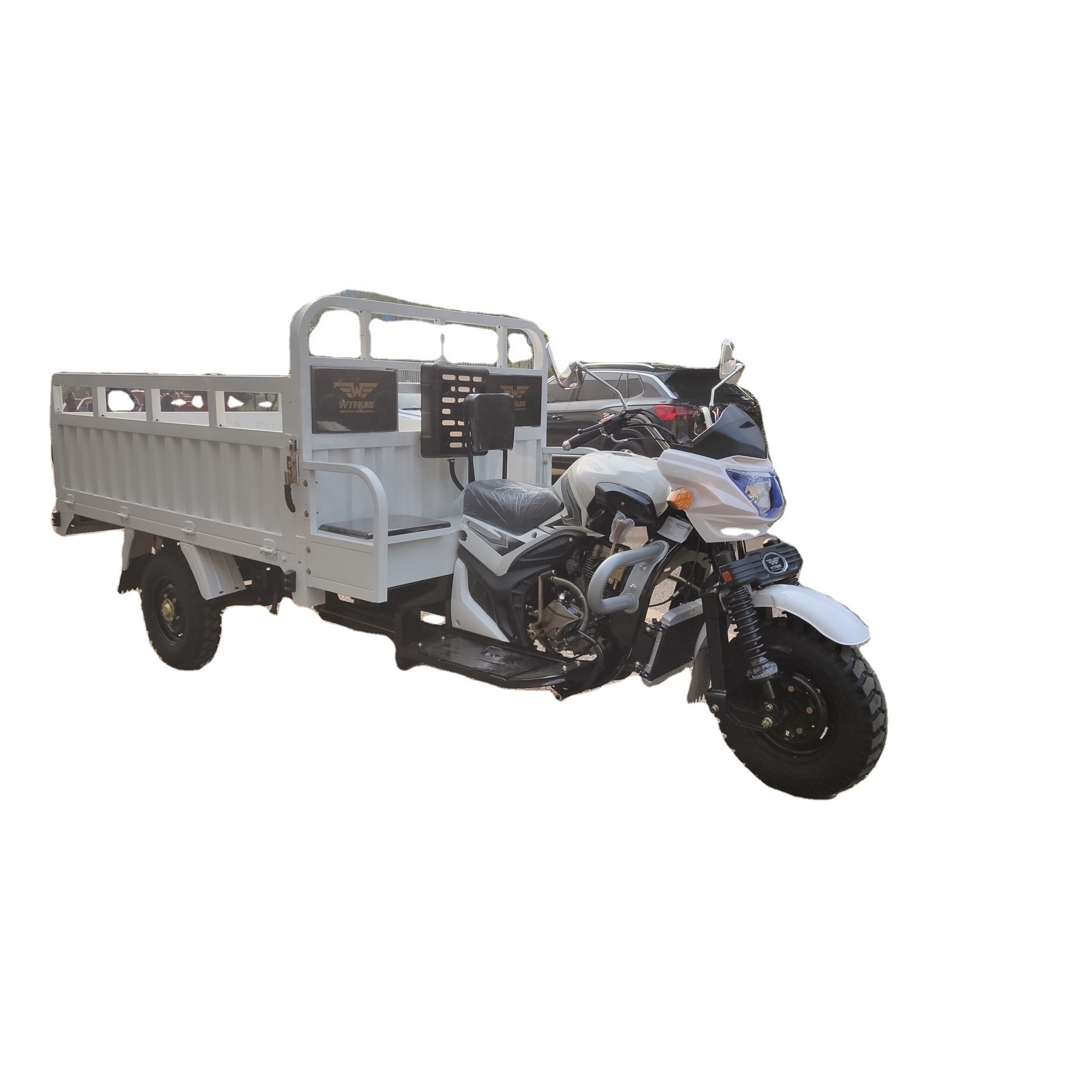 Peru Hot Model B CG250 CARGUERO MOTOR 250cc Carguero 3 Wheel Motorcycle 300cc Passenger Trimoto
